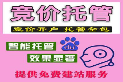 专业SEM服务托管方案案例分析
